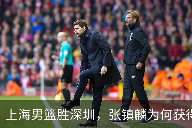 上海男篮胜深圳，张镇麟为何获得多次盛赞？
