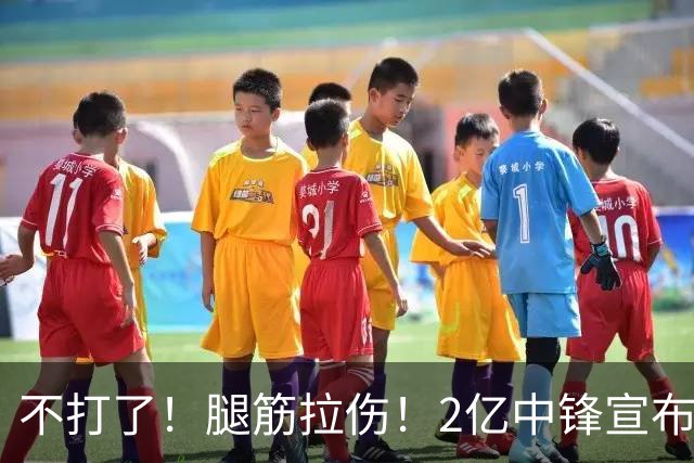 不打了！腿筋拉伤！2亿中锋宣布休战