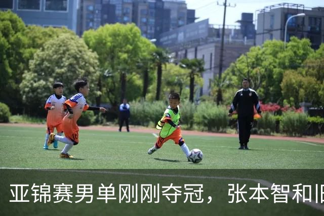亚锦赛男单刚刚夺冠，张本智和旧病复发，原来水谷隼对此早有预言