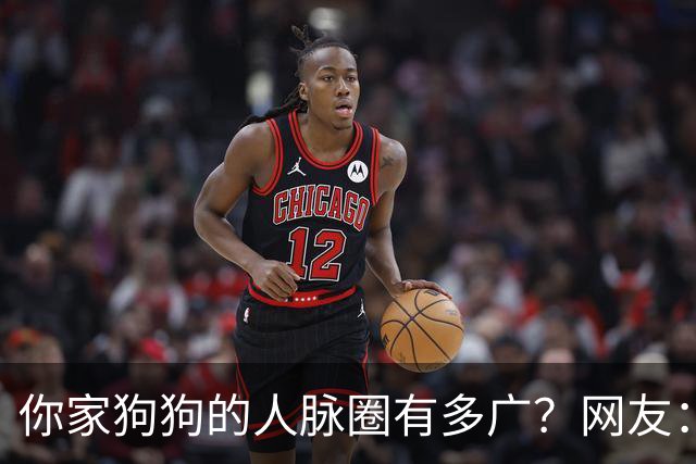 你家狗狗的人脉圈有多广？网友：我也是只认识狗不认识狗主人