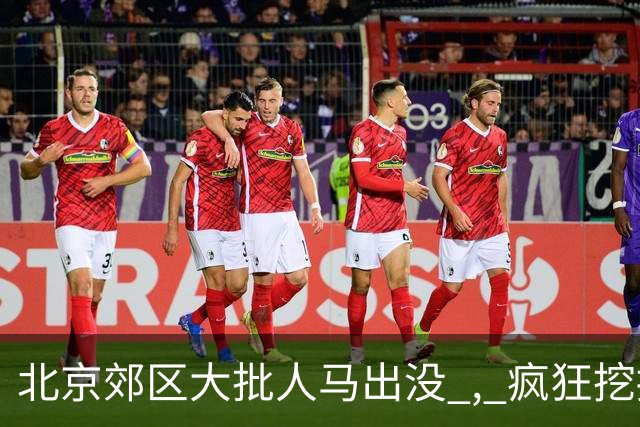北京郊区大批人马出没 , 疯狂挖掘神秘“黑疙瘩” , 因滥采已岌岌可危
