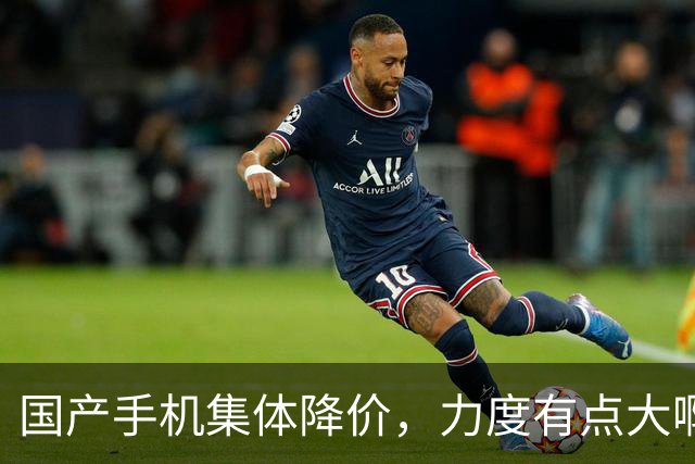 国产手机集体降价，力度有点大啊！
