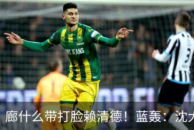 廊什么带打脸赖清德！蓝轰：沈大草包