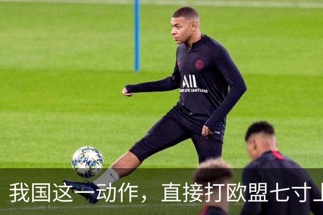 我国这一动作，直接打欧盟七寸上，欧盟内部瞬间安静了，不简单