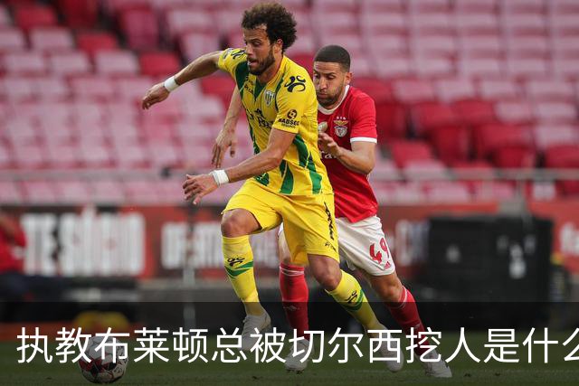 执教布莱顿总被切尔西挖人是什么感受？德泽尔比：你觉得呢？