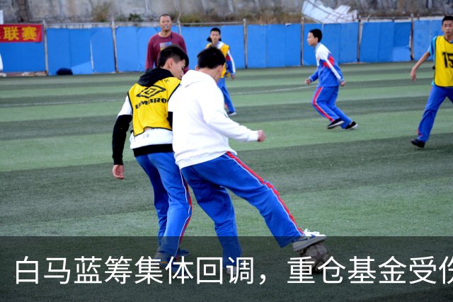 白马蓝筹集体回调，重仓基金受伤有多深？