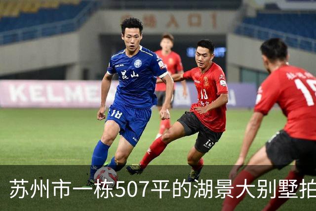 苏州市一栋507平的湖景大别墅拍卖，被人370万元拿下了