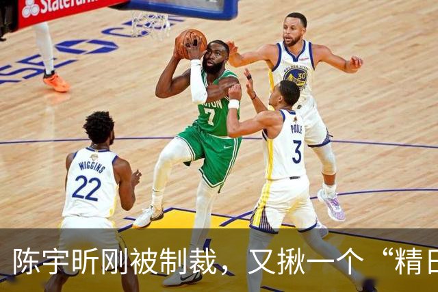 陈宇昕刚被制裁，又揪一个“精日”人员：竟然还是本土企业老板