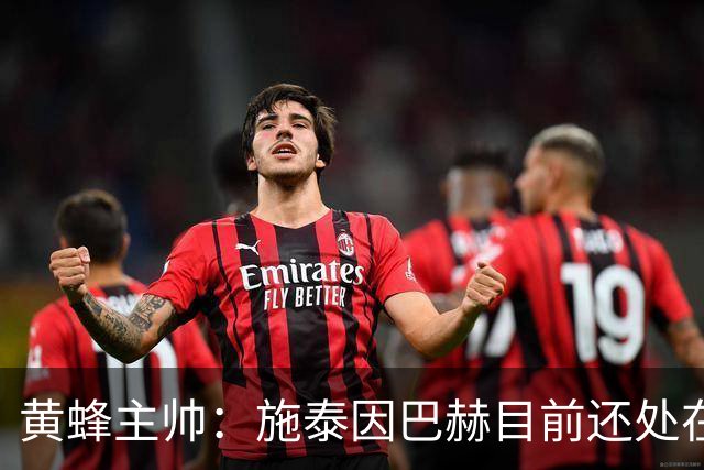 黄蜂主帅：施泰因巴赫目前还处在成长早期阶段 他训练很刻苦